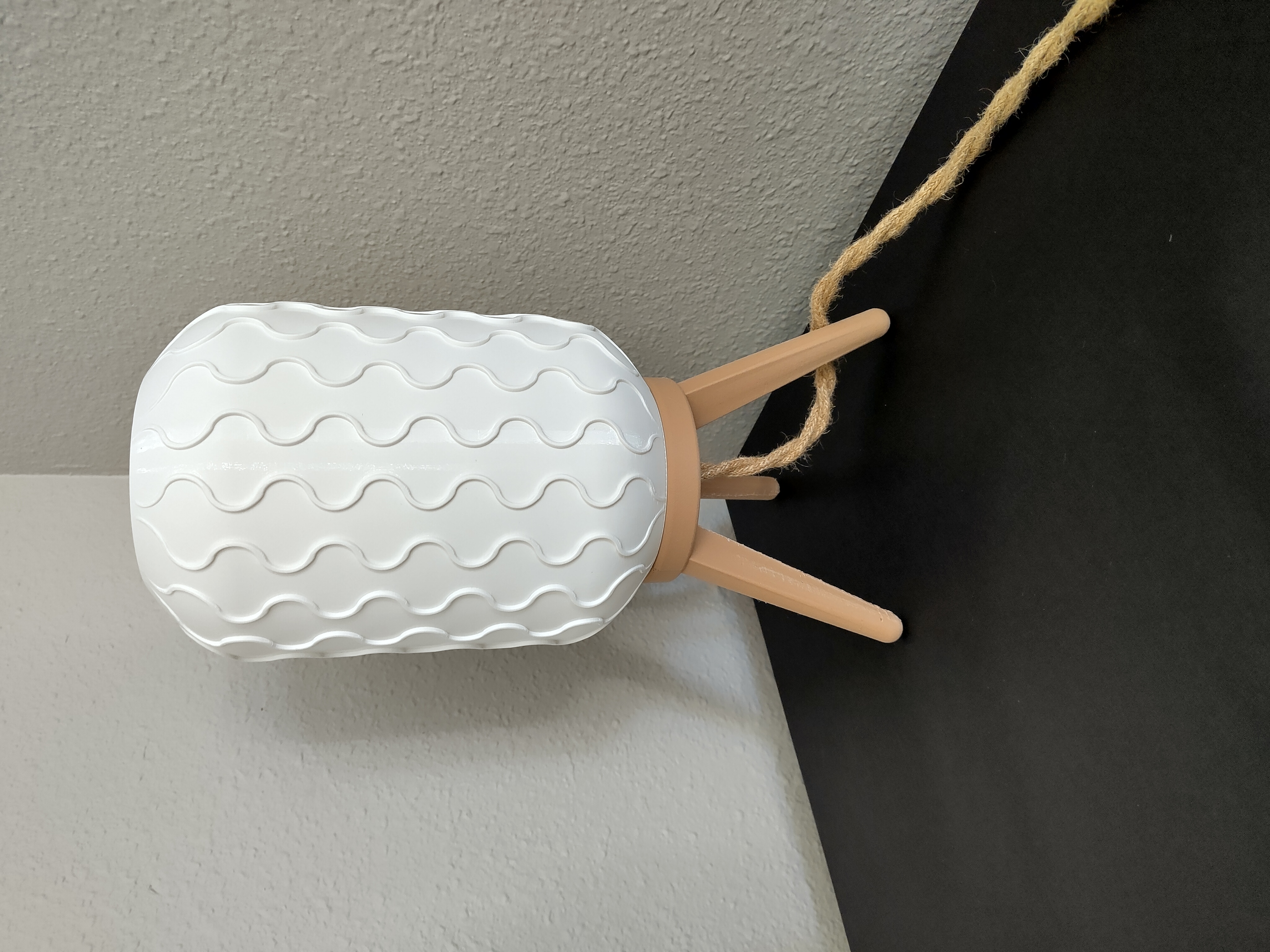 Sculpting Light: My First Vase Mode Print from Catdad Workshop