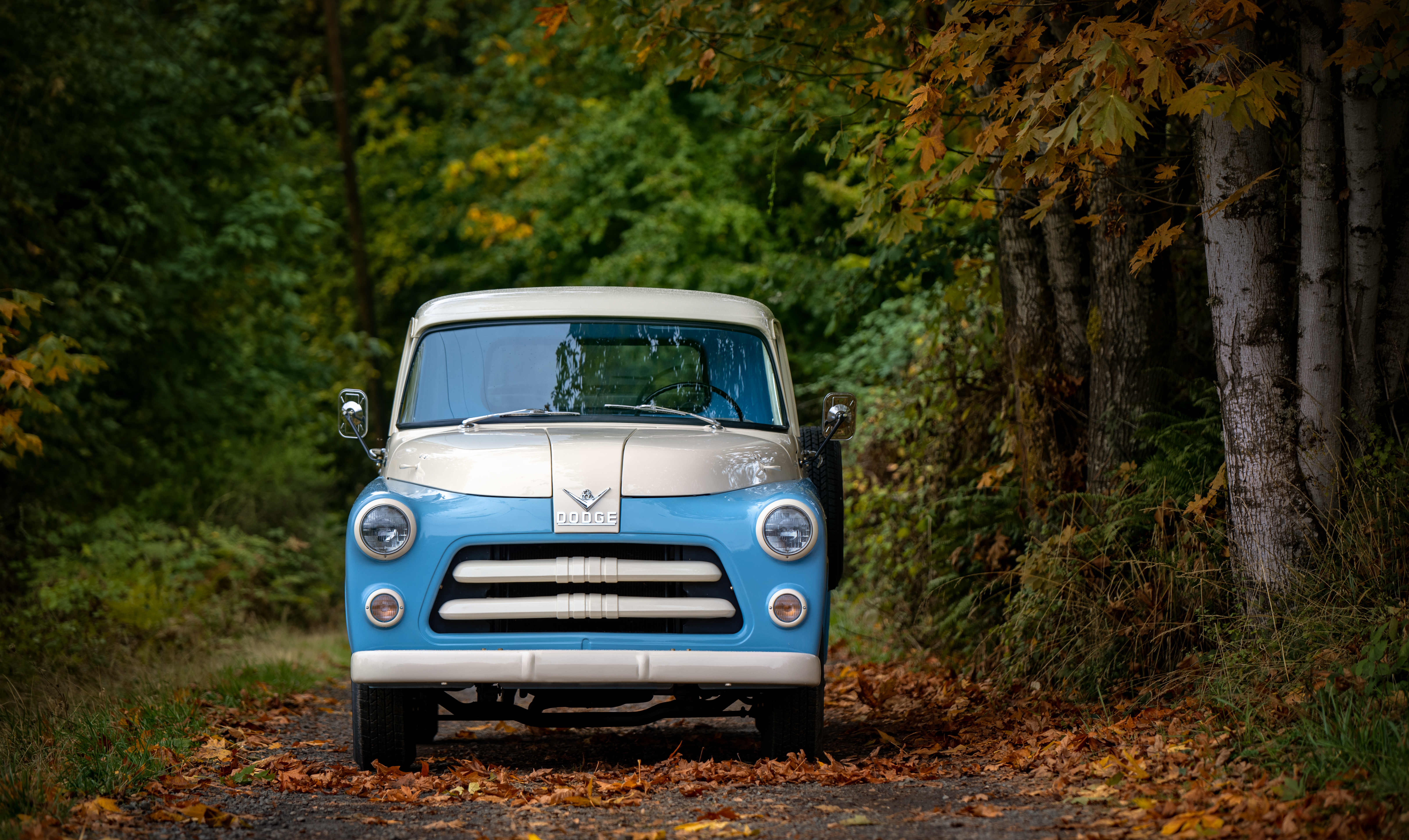 I sold three gasoline vehicles and bought two electric cars - Part 1